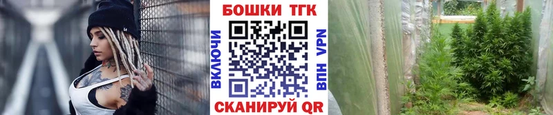Бошки марихуана OG Kush  Купить где  Ейск 